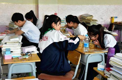 聊城高中爆料案件最新,揭开校园安全与监管的隐秘面纱